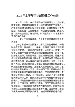 2025年上半年审计部经理工作总结