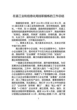 在县工业和信息化局挂职锻炼的工作总结