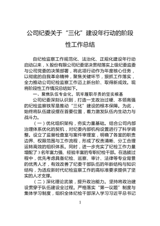 公司纪委关于“三化”建设年行动的阶段性工作总结