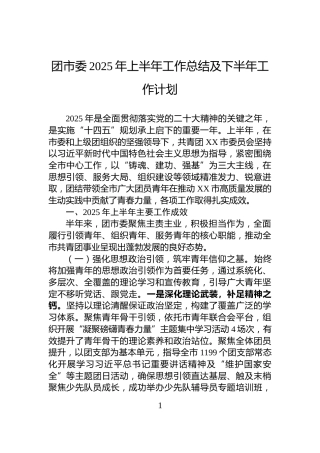 团市委2025年上半年工作总结及下半年工作计划