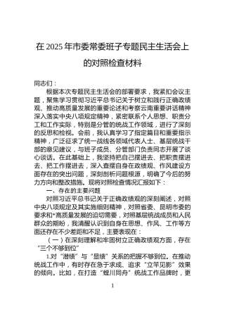 在2025年市委常委班子专题民主生活会上的对照检查材料