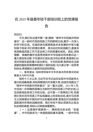 在2025年县委年轻干部培训班上的党课报告