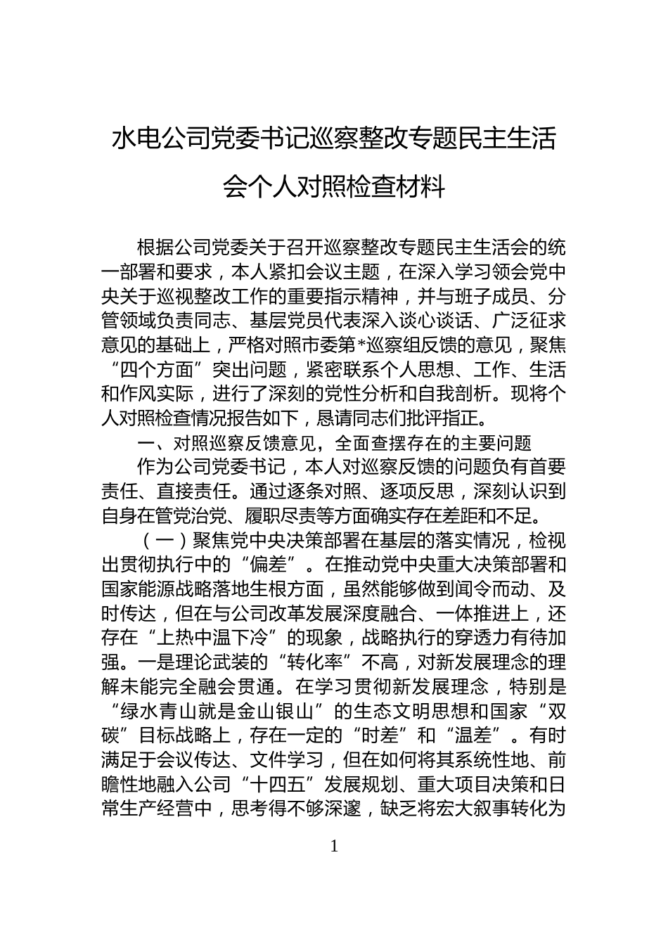 水电公司党委书记巡察整改专题民主生活会个人对照检查材料_第1页
