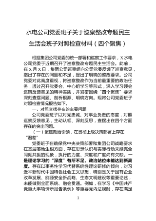 水电公司党委班子关于巡察整改专题民主生活会班子对照检查材料（四个聚焦）
