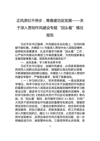 正风肃纪不停步，青春建功促发展——关于深入贯彻作风建设专题“回头看”情况报告