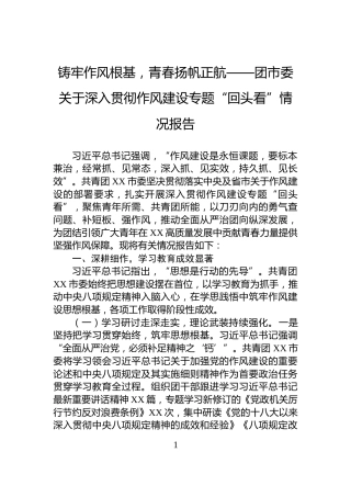 铸牢作风根基，青春扬帆正航——团市委关于深入贯彻作风建设专题“回头看”情况报告