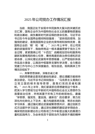 2025年公司党办工作情况汇报
