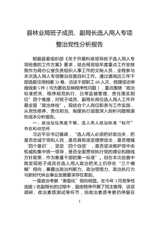 县林业局班子成员、副局长选人用人专项整治党性分析报告