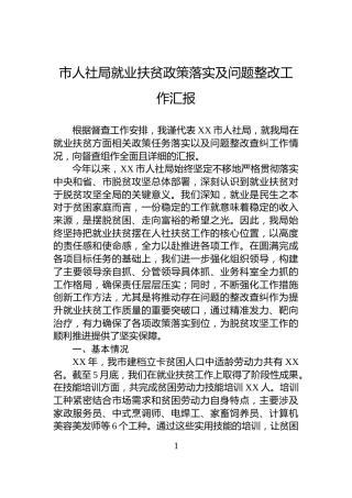 市人社局就业扶贫政策落实及问题整改工作汇报
