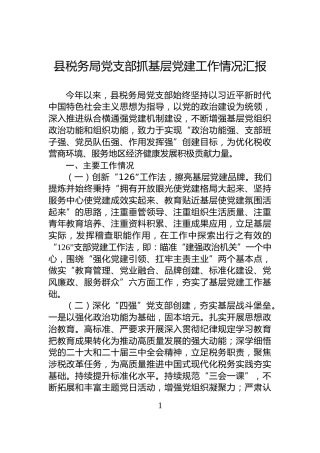 县税务局党支部抓基层党建工作情况汇报