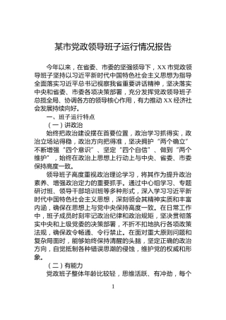 某市党政领导班子运行情况报告