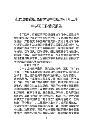 市发改委党组理论学习中心组2025年上半年学习工作情况报告