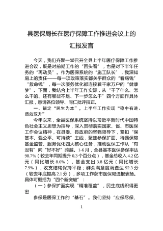 县医保局长在医疗保障工作推进会议上的汇报发言