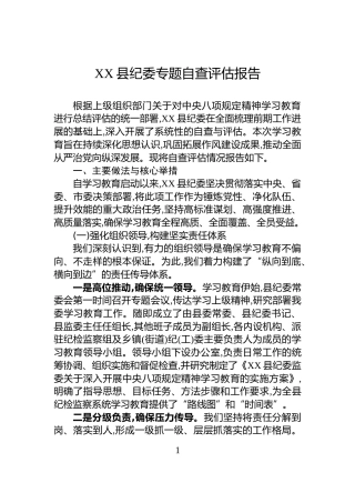 XX县纪委专题自查评估报告