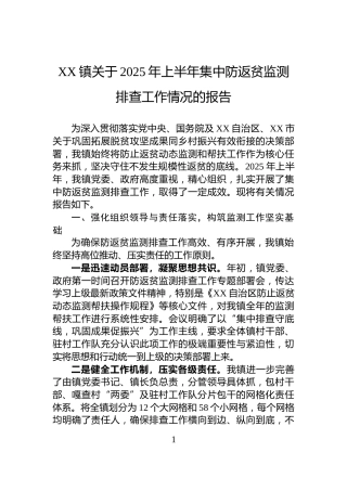 XX镇关于2025年上半年集中防返贫监测排查工作情况的报告