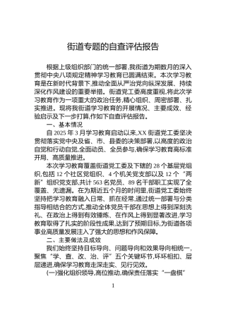 街道专题的自查评估报告