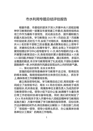 市水利局专题总结评估报告