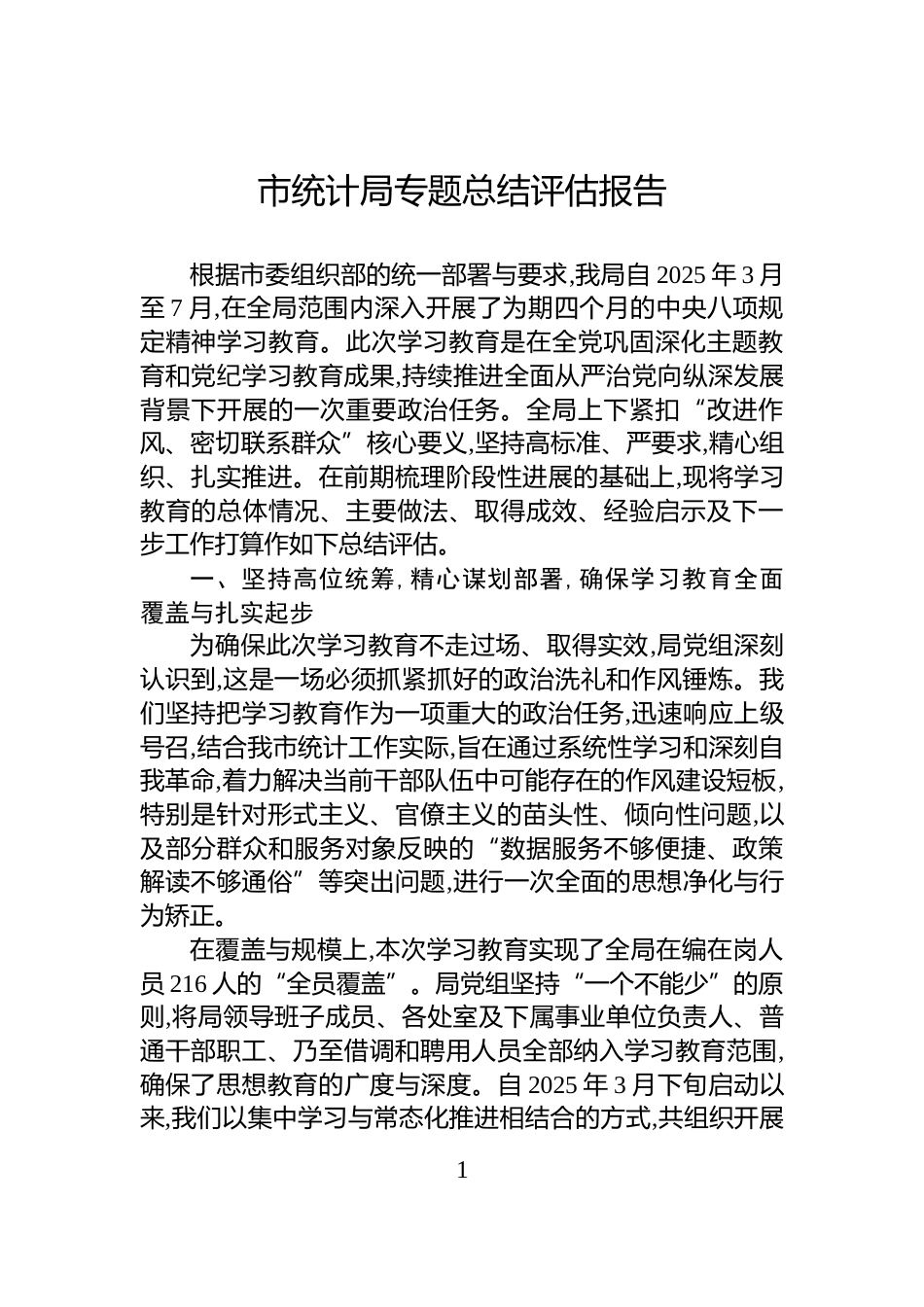 市统计局专题总结评估报告_第1页