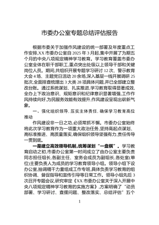 市委办公室专题总结评估报告