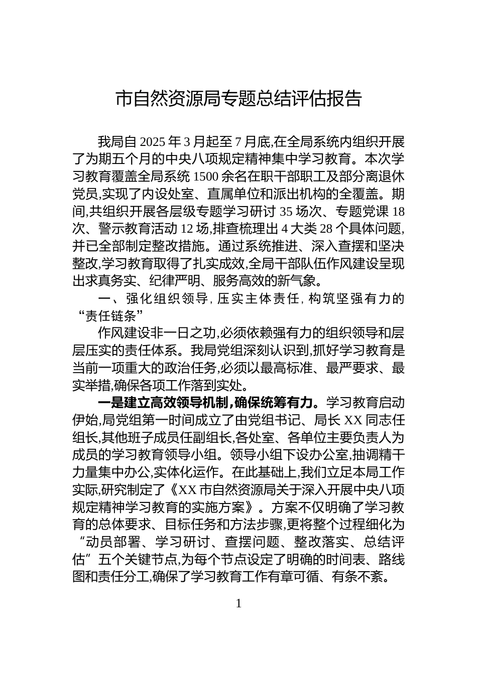 市自然资源局专题总结评估报告_第1页