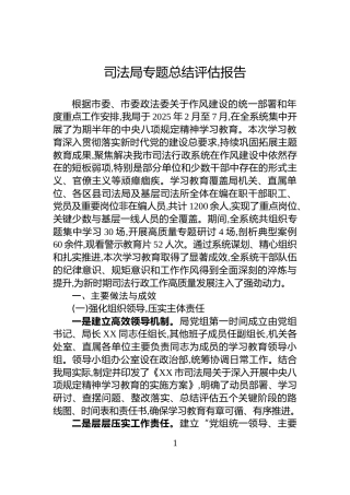 司法局专题总结评估报告