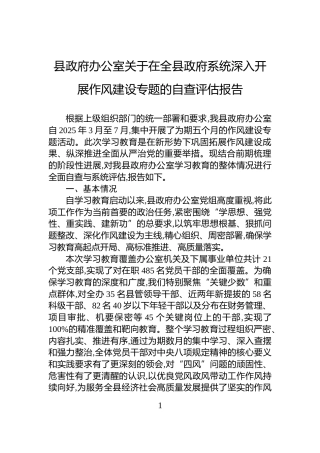 县政府办公室关于在全县政府系统深入开展作风建设专题的自查评估报告