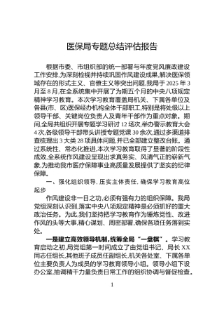 医保局专题总结评估报告