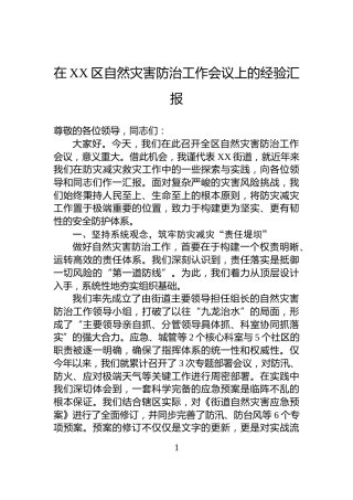 在XX区自然灾害防治工作会议上的经验汇报