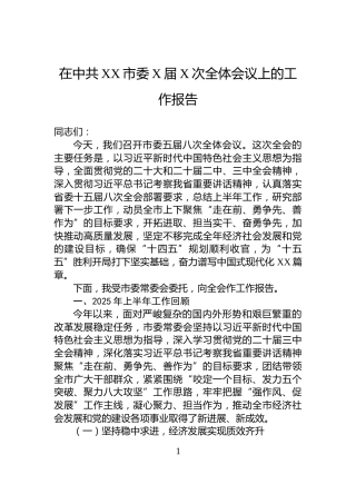 在中共XX市委X届X次全体会议上的工作报告