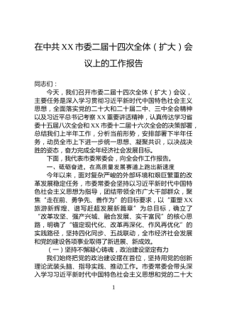 在中共XX市委二届十四次全体（扩大）会议上的工作报告