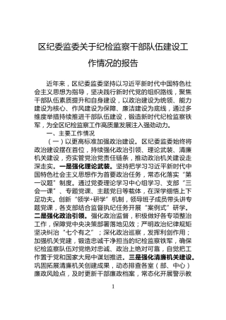 区纪委监委关于纪检监察干部队伍建设工作情况的报告
