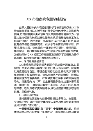 XX市检察院专题总结报告