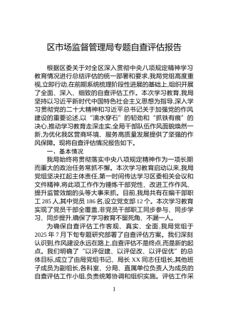 区市场监督管理局专题自查评估报告