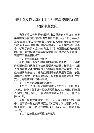 关于XX县2025年上半年财政预算执行情况的审查意见