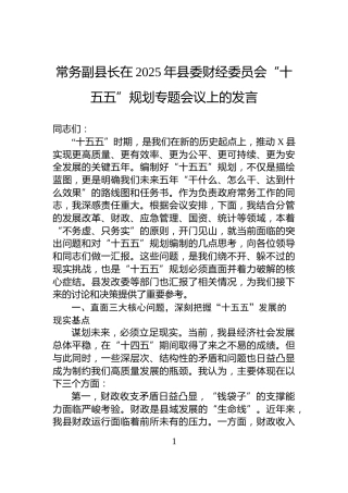 常务副县长在2025年县委财经委员会“十五五”规划专题会议上的发言