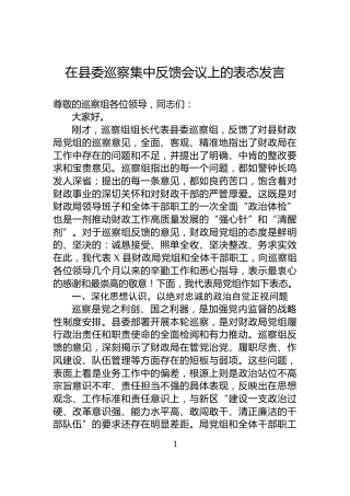 在县委巡察集中反馈会议上的表态发言