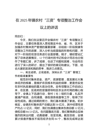 在2025年镇农村“三资”专项整治工作会议上的讲话