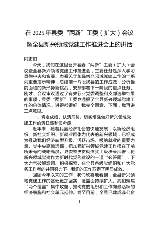 在2025年县委“两新”工委（扩大）会议暨全县新兴领域党建工作推进会上的讲话