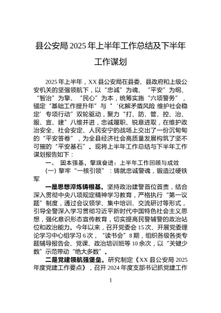 县公安局2025年上半年工作总结及下半年工作谋划