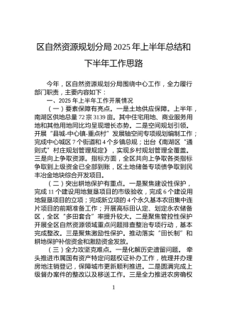 区自然资源规划分局2025年上半年总结和下半年工作思路