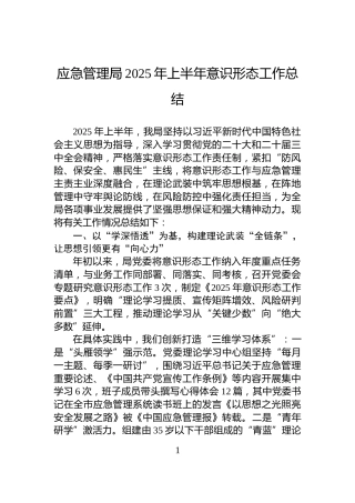 应急管理局2025年上半年意识形态工作总结