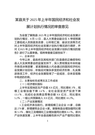 某县关于2025年上半年国民经济和社会发展计划执行情况的审查意见