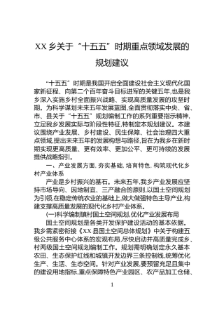 XX乡关于“十五五”时期重点领域发展的规划建议