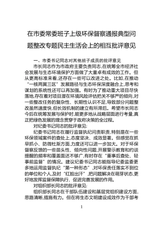 在市委常委班子上级环保督察通报典型问题整改专题民主生活会上的相互批评意见