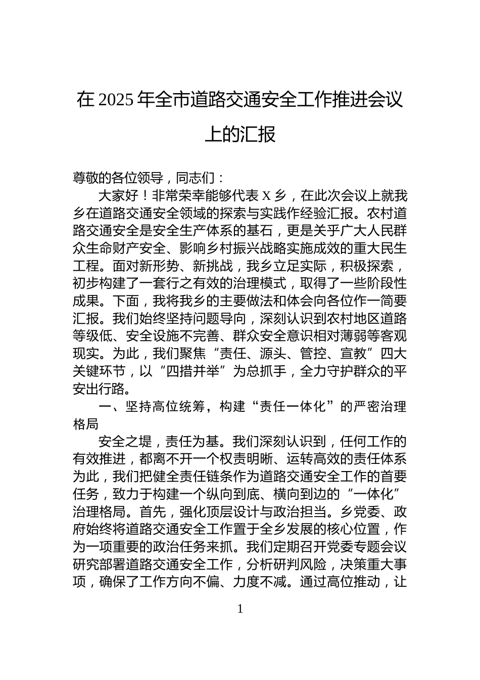 在2025年全市道路交通安全工作推进会议上的汇报_第1页