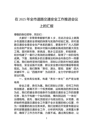 在2025年全市道路交通安全工作推进会议上的汇报