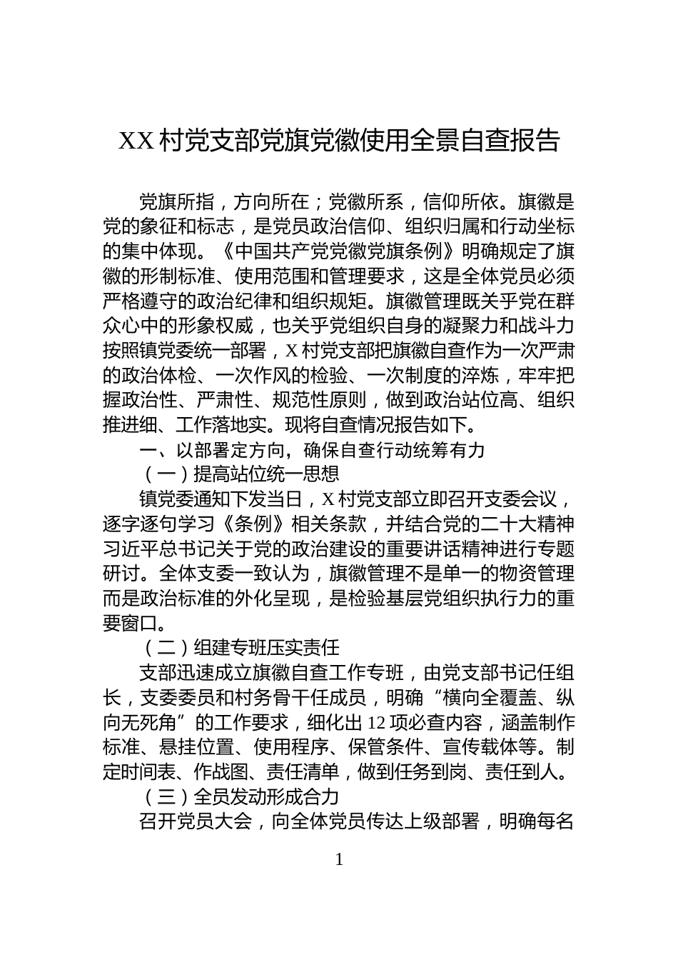 XX村党支部党旗党徽使用全景自查报告_第1页