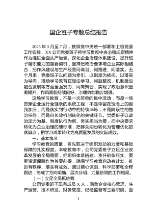 国企班子专题总结报告