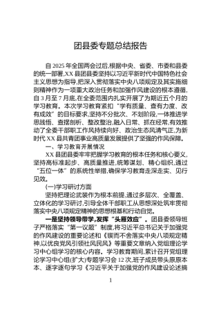团县委专题总结报告