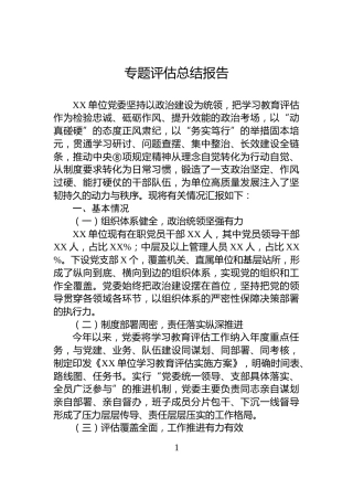 专题评估总结报告
